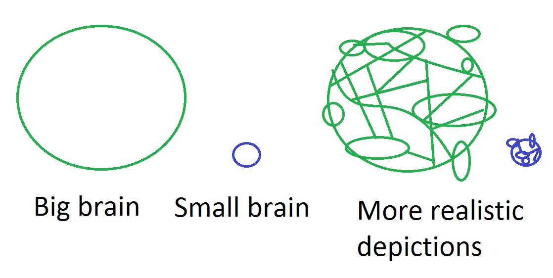 Depictions of a big recurrent brain, a small recurrent brain, and slightly more accurate renditions of them. I release this picture to the public domain worldwide.