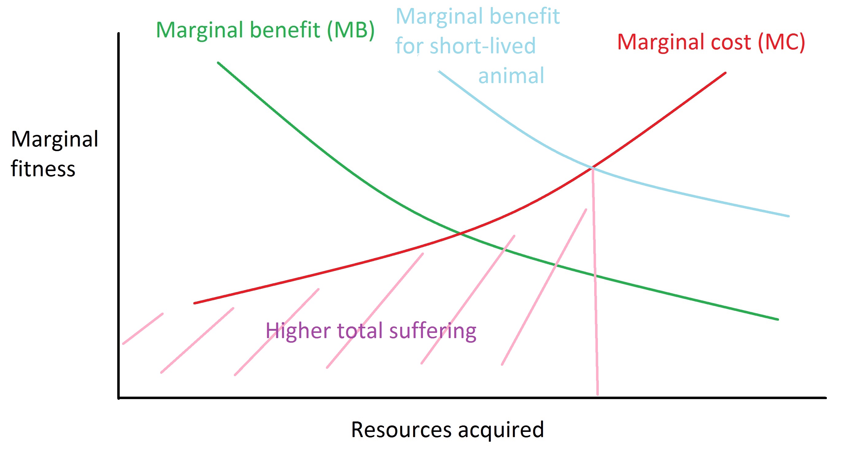 fitness-considerations-regarding-the-suffering-of-short-lived-animals