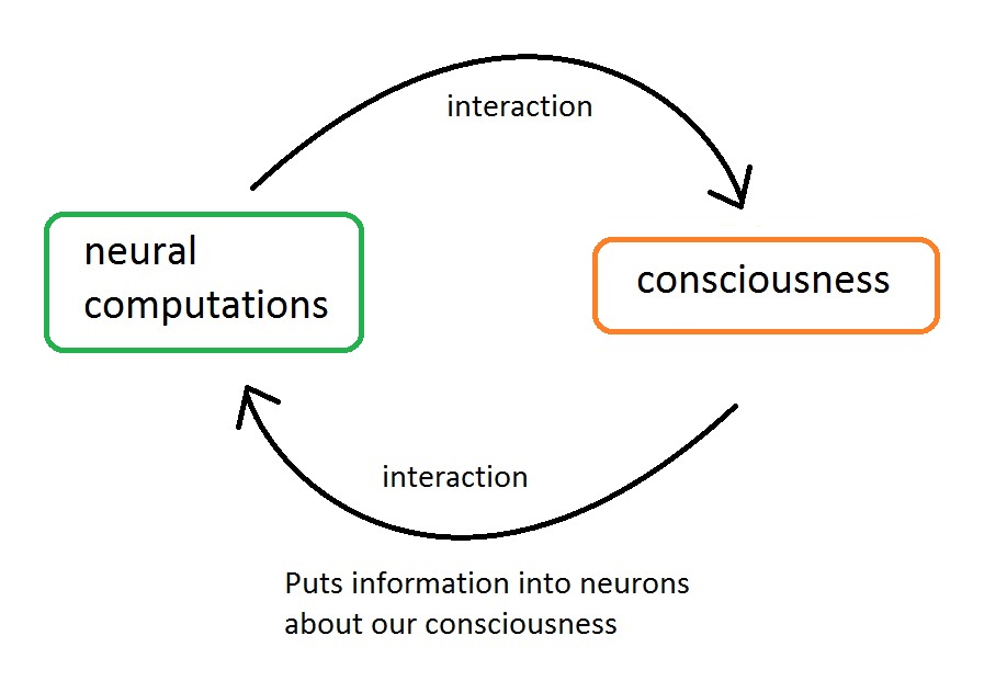 One possible interactionist explanation of how I know I'm conscious. I release this image into the public domain.
