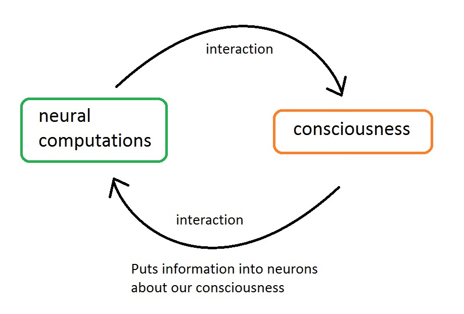 Dualism And Dualistic Interactionism