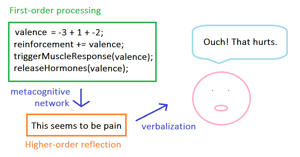 Depiction of higher-order processing