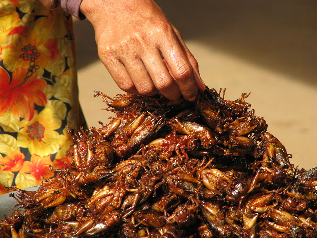 Cambodia - insects for snacks at the market