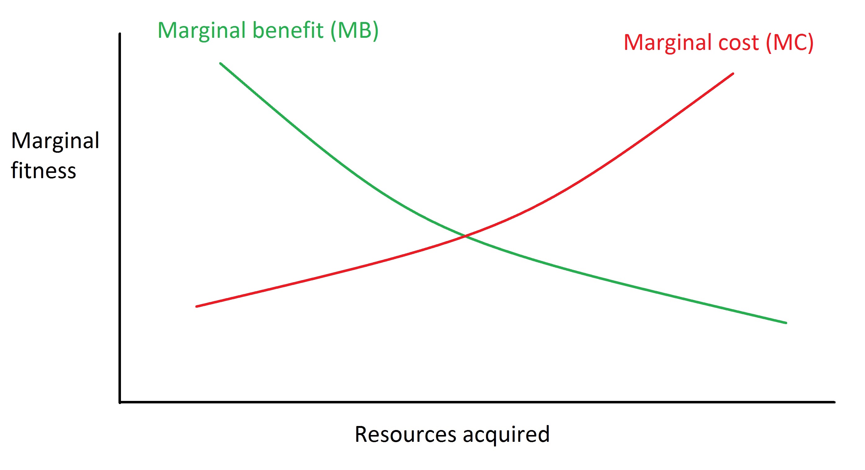 how-to-think-about-value-placeholder